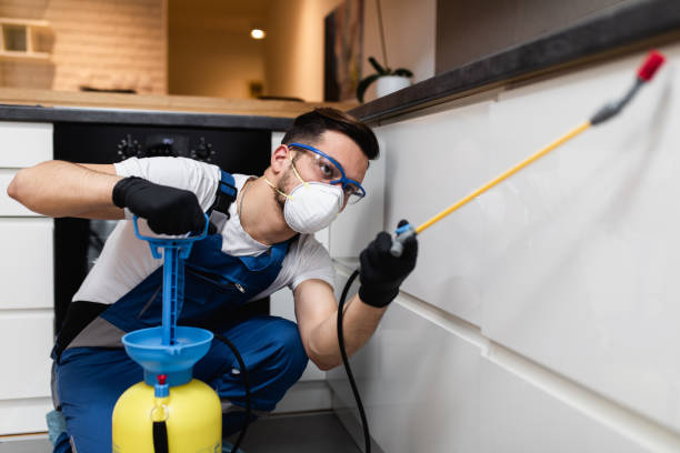 Best Residential Pest Control  in Norwood, NJ