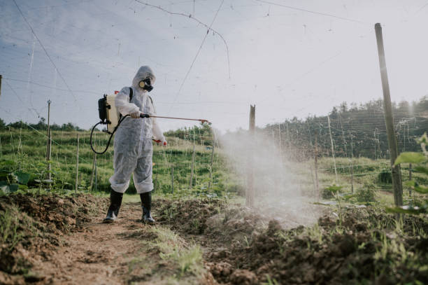 Best Mosquito Control Services  in Norwood, NJ