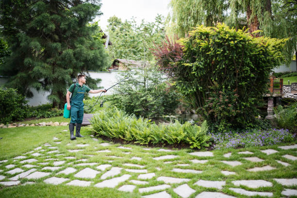 Pest Prevention Services in Norwood, NJ
