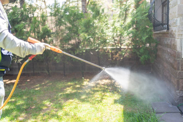 Best Flea Control Services  in Norwood, NJ