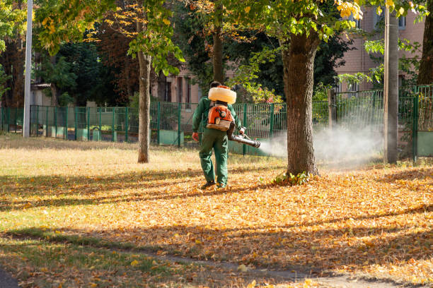 Trusted Norwood, NJ Pest Control Experts