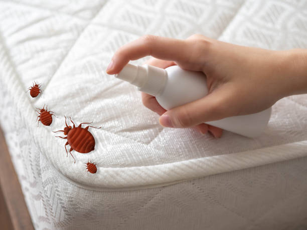 Best Cockroach Control Services  in Norwood, NJ