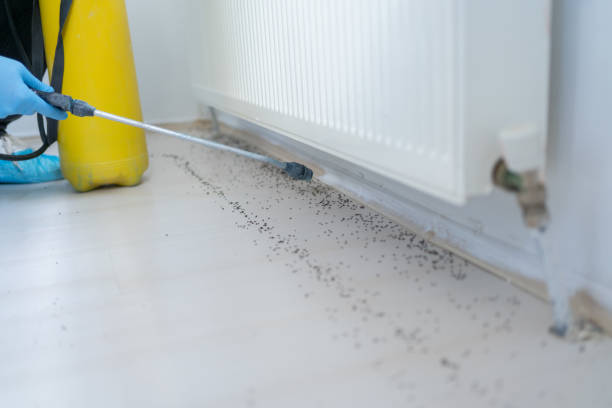 Best Pest Removal Services  in Norwood, NJ