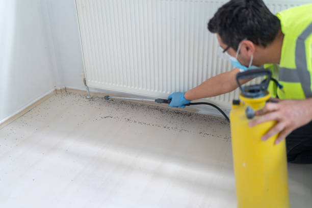 Best Exterminator Services  in Norwood, NJ