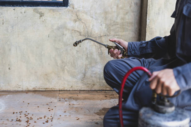 Best Termite Control Services  in Norwood, NJ