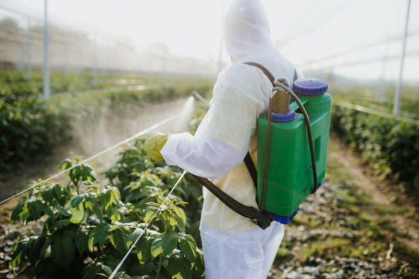 Best Pest Control Near Me  in Norwood, NJ